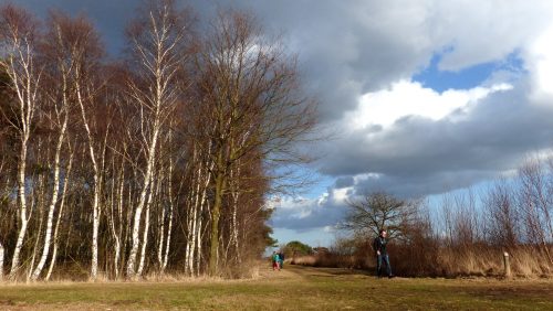 Oudejaarswandeling-De-Groote-Peel