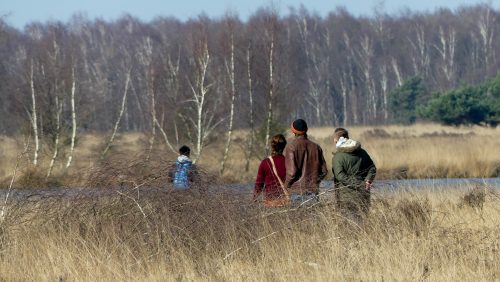 Oudejaarswandeling-bij-Buitencentrum-De-Pelen
