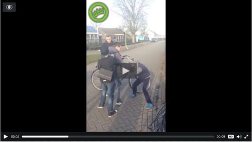 Oudere-pestkop-slaat-er-op-los