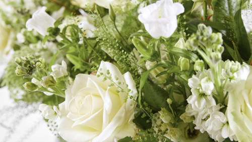 Overlijdensbericht-Aldje-Meevis3