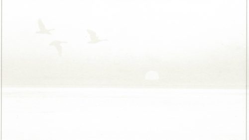 Overlijdensbericht-Frits-Deumers-2