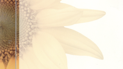 Overlijdensbericht-Harrie-Reijnders1