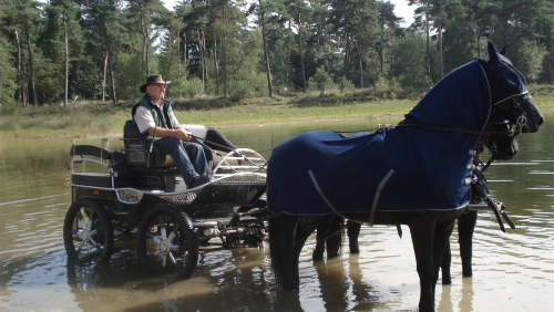 Overlijdensbericht-Harrie-van-Berlo3