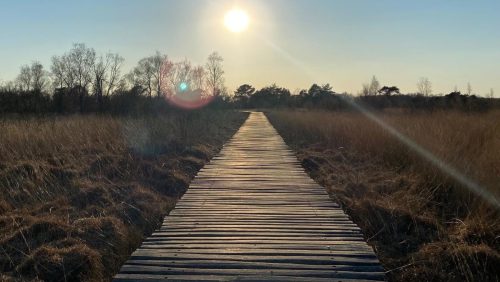 Overlijdensbericht-Jac-Sieben-1