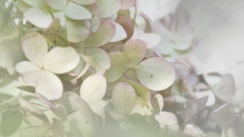 Overlijdensbericht-Leen-Nies-Salimans1