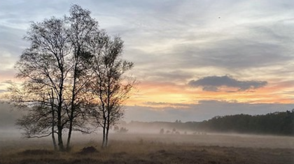 Overlijdensbericht-Lei-Lempens