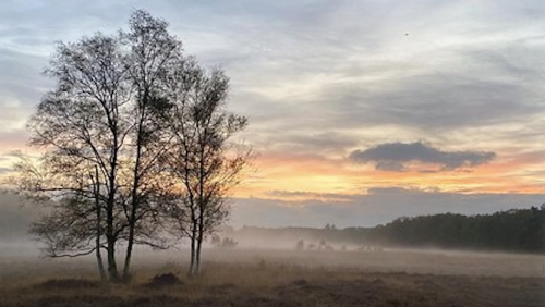 Overlijdensbericht-Lei-Lempens