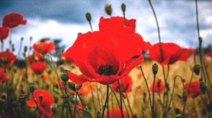 Overlijdensbericht-Lies-Terium-Hekers