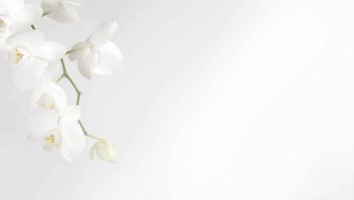 Overlijdensbericht-Mia-Willekens-Jonkers-1