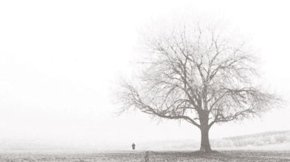 Overlijdensbericht-Mia-van-Veldhoven-–-Doensen4