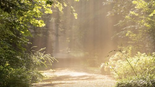 Overlijdensbericht-Theu-Smeets-4