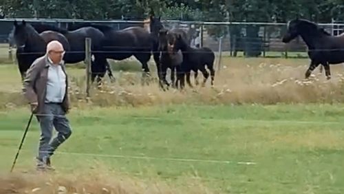 Overlijdensbericht-Thieu-Koppen2