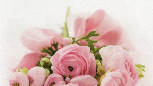 Overlijdensbericht-Truus-Weekers-Stultjens2