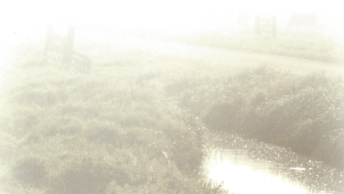 Overlijdensbericht-Wiel-Janssen1