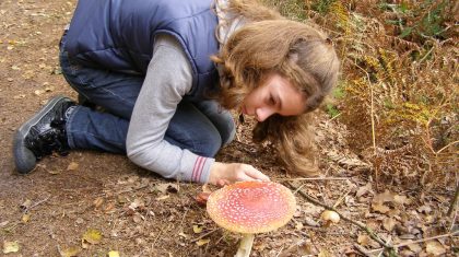 OLYMPUS DIGITAL CAMERA