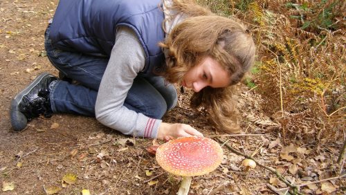 OLYMPUS DIGITAL CAMERA