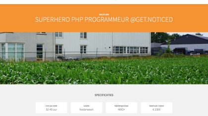 PHP-Programmeur-gezocht-NEderweert-Limburg