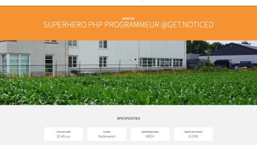 PHP-Programmeur-gezocht-NEderweert-Limburg