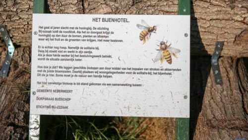 Park-Rochushof-Bijenhotel-Budschop-2