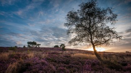 Persbericht-Foto-Landgoed-de-Hamert_J-Linskens