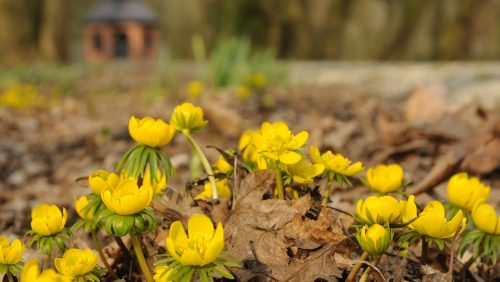 Persbericht-foto-Inaborg_theehuis_LandgoedArcen_SLL-Henk-Heijligers