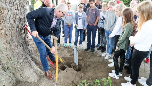 Plataan-Boomleerpad-Nederweert-Citaverde-6