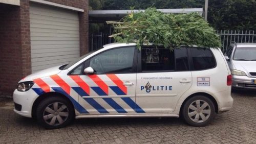 Politie-wiet