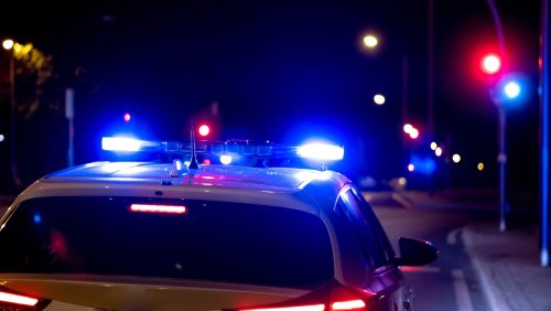 Foto | Wirestock - depositphotos.com