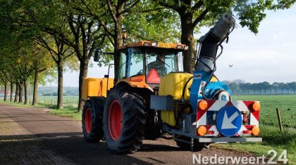 Processierups-bestrijding-1