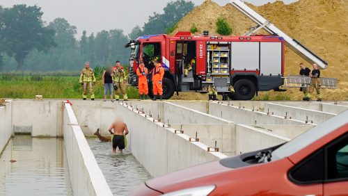 Reeen-in-kelder-Rosselsweg-Nederweert-1