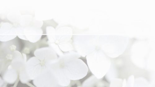 Roos-rouwadvertentie