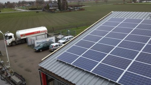 Roost-Olie-zonnepanelen