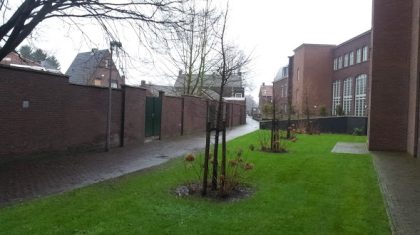 Rosa-Moorenpad-Nederweert