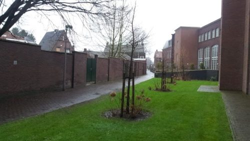 Rosa-Moorenpad-Nederweert