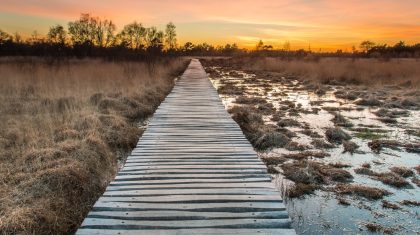 Rouwadvertentie-Aad-Koolen