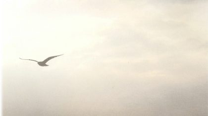 Rouwadvertentie-Cees-van-den-Berg-1937-2018-2