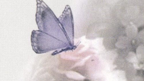 Rouwadvertentie-Diny-Kessels-van-de-Voort-2