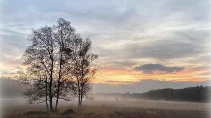 Rouwadvertentie-Jo-Kirkels-1