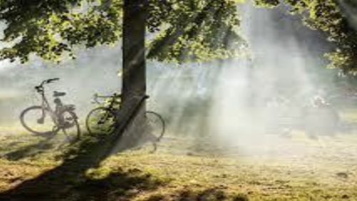 Rouwadvertentie-Nellie-van-den-Heurik-2