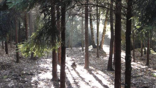 Rouwadvertentie-Sjeng-Briels-Nederweert