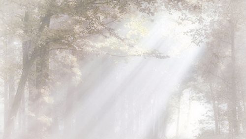 Rouwadvertentie-Theo-Creemers