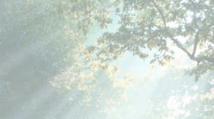 Rouwadvertentie-Ton-Bosma-2