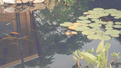 Rouwadvertentie-Truus-Kessels-Kuijpers-1