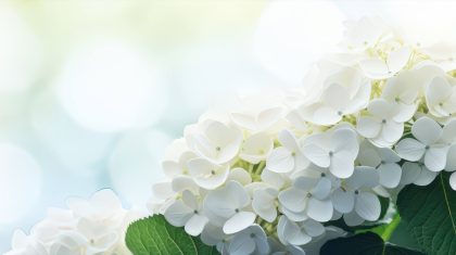 Rouwadvertentie-Wiel-Schroijen-1