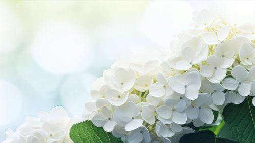 Rouwadvertentie-Wiel-Schroijen-1