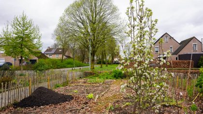 Samentuin-Tichelveld-2