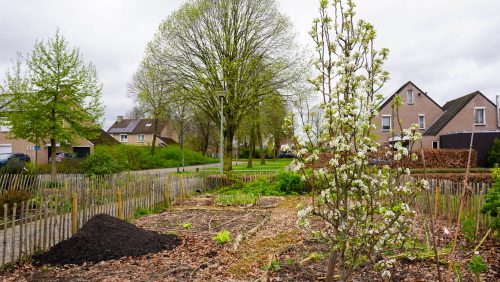 Samentuin-Tichelveld-2