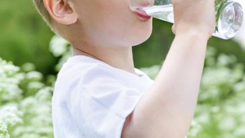 Samenwerking-KERNgezond-en-Sprankle