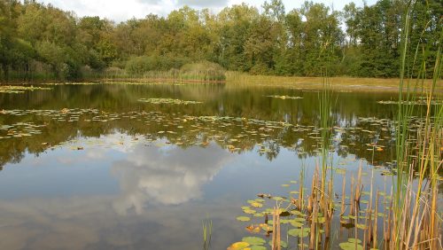 Foto | Het Limburgs landschap, Henk Heijligers.