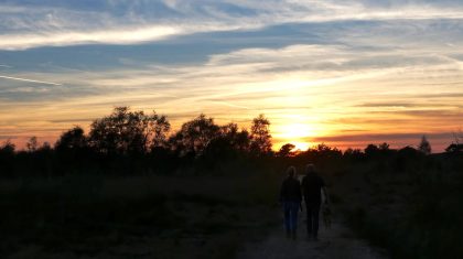 Schemerwandeling-in-Nationaal-Park-De-Groote-Peel